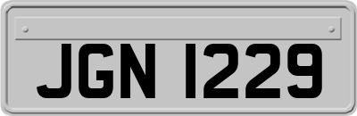 JGN1229