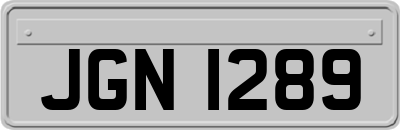 JGN1289