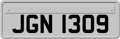 JGN1309
