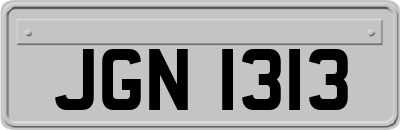 JGN1313