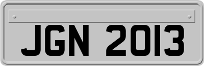 JGN2013