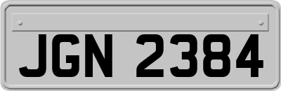 JGN2384