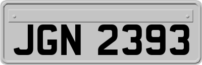 JGN2393