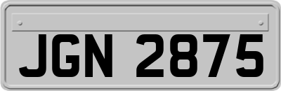 JGN2875