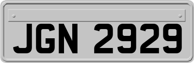 JGN2929
