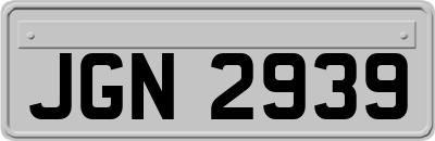 JGN2939