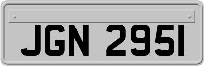 JGN2951
