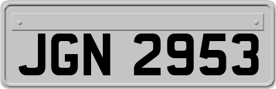 JGN2953