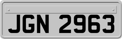 JGN2963