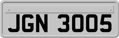 JGN3005