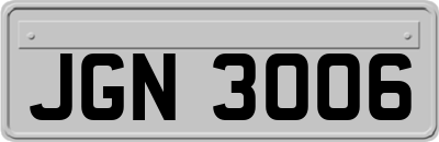 JGN3006