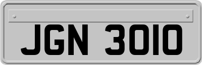 JGN3010
