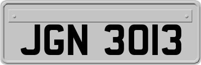 JGN3013