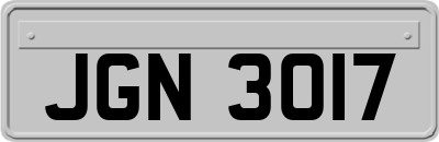 JGN3017