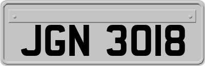 JGN3018