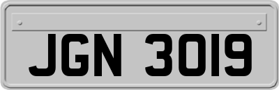 JGN3019