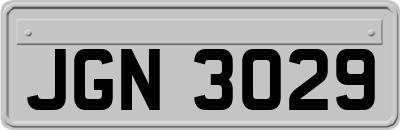 JGN3029