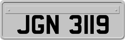 JGN3119