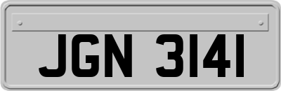 JGN3141