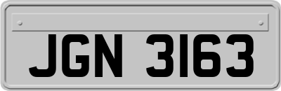 JGN3163