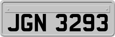 JGN3293