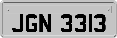 JGN3313