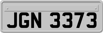 JGN3373