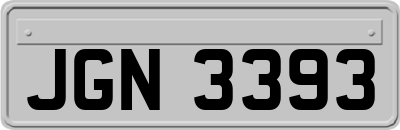 JGN3393