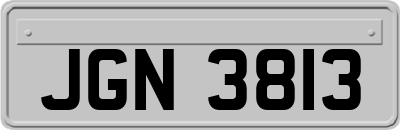 JGN3813