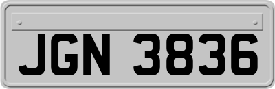 JGN3836