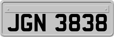 JGN3838