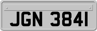 JGN3841