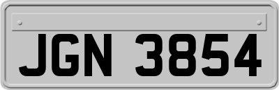 JGN3854