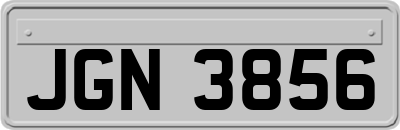 JGN3856
