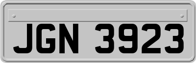 JGN3923