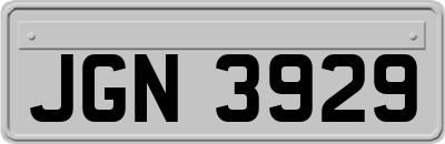 JGN3929