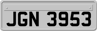 JGN3953