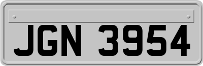 JGN3954