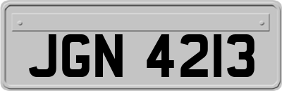 JGN4213