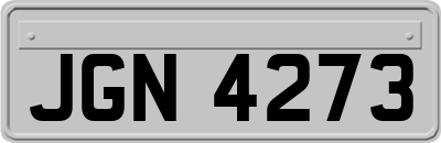 JGN4273