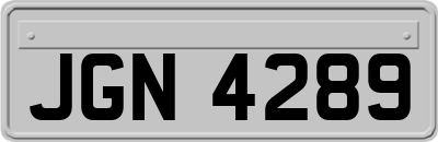 JGN4289