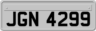 JGN4299