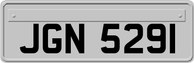 JGN5291