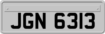 JGN6313