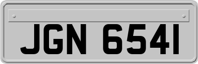 JGN6541