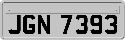 JGN7393