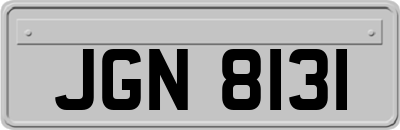 JGN8131