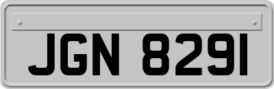 JGN8291