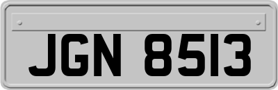 JGN8513