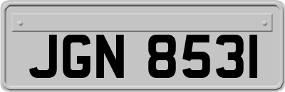 JGN8531